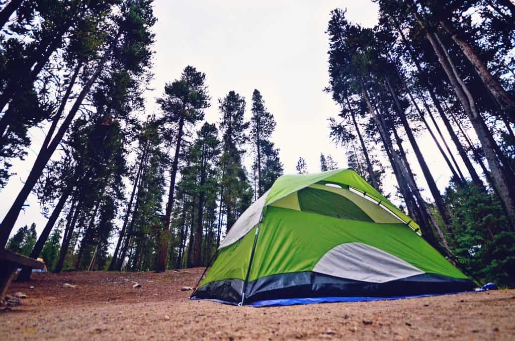 olympic_camp