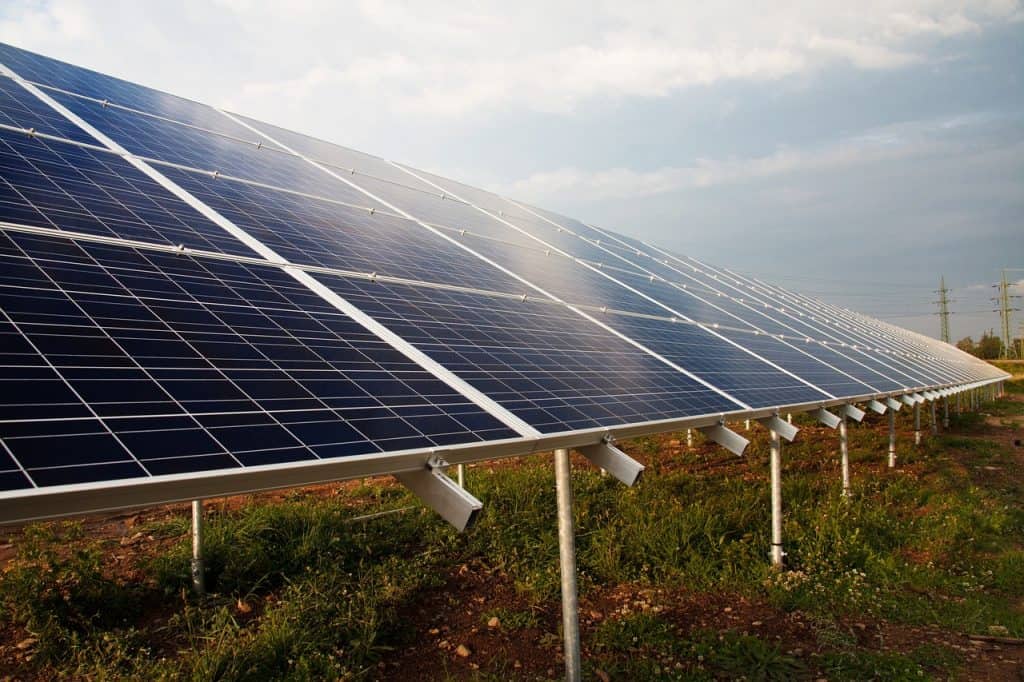 which is a sustainable practice? operating wind farms clear cutting flood irrigation overfishing