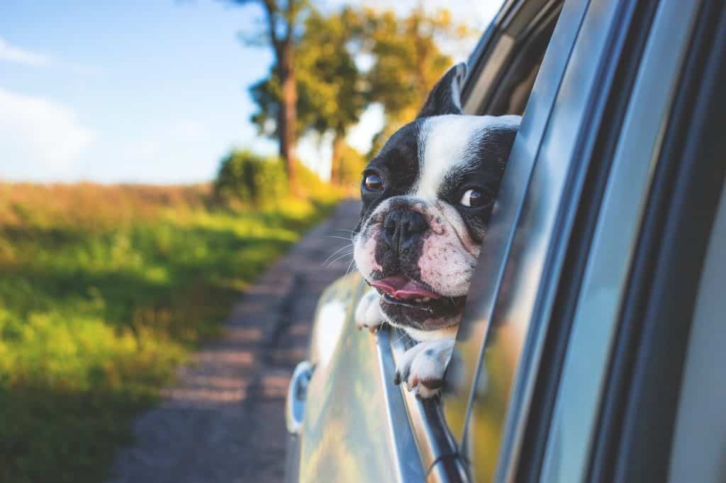 mom said she'll let me do this on every long family road trip that i get bored