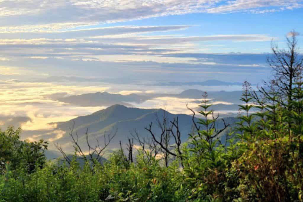 Appalachian Trail - featured image
