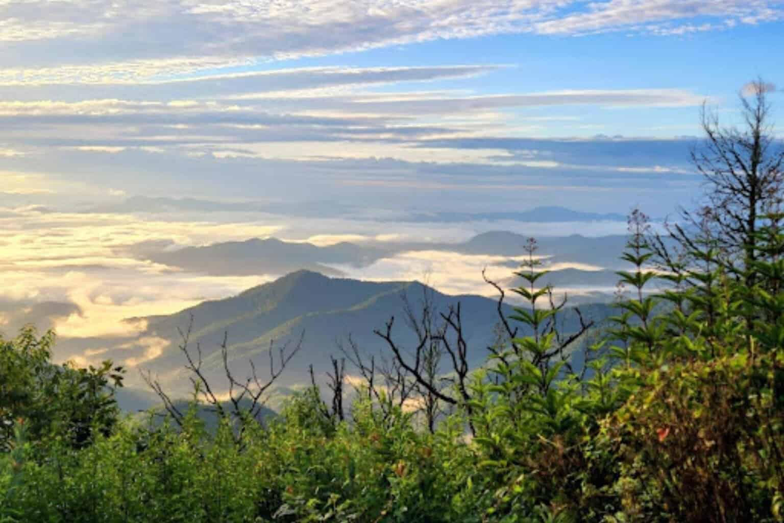 Appalachian Trail - featured image